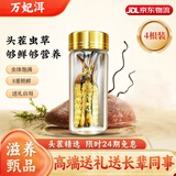 万妃洱冬虫夏草滋补高品质虫草营养品礼盒装送礼送领导长辈实惠囤货礼盒 4根【新客尝鲜】4根/g