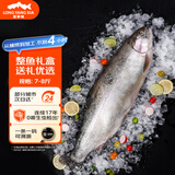 龙羊峡冰鲜国产青海三文鱼切片刺身450g高原虹鳟生鲜鱼类源头直发顺丰 冰鲜三文鱼整条礼盒 7斤