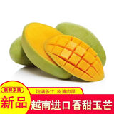 集南鲜 越南青玉芒果 芒果当季大青皮黄皮大芒果新鲜水果整箱 含箱5斤  单果250g起  净重4.5斤