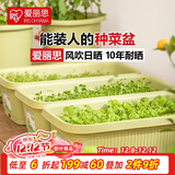 爱丽思（IRIS）种菜盆蔬菜种植箱塑料菜盆特大号阳台种菜神器户外花箱种花菜盆 热款 大(70cm长）茶色 送隔网