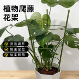 金雅特植物支撑杆攀爬藤花支架包钢管花盆绿萝蔷薇月季番茄葡萄固定器