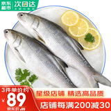 哆鲜生 海捕活冻马友鱼 午笋鱼马鲅鱼三去除脏1斤 鲜活冷冻鱼类 大号 2条/袋 净重500g