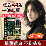 同仁堂 一洗黑染发剂 植物泡泡盖白染发霜焗油膏轻松染 黑茶色500ml
