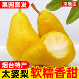京地达烟台太婆梨软梨净重5斤单果130g新鲜香蕉大头啤酒梨 源头直发包邮