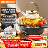 苏泊尔（SUPOR）围炉煮茶电陶炉多功能家用电煮茶炉养生泡茶烧水煮茶器蒸茶器白茶黑茶蒸茶器不挑器具SW-DTL-W1