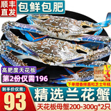 【销量60W+只】舟山超大梭子蟹鲜蟹活冻大螃蟹生鲜飞蟹大肉蟹 精品兰花蟹 200-300g母蟹两只