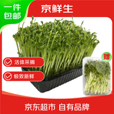 京鲜生鲜活豌豆苗 一份体验收割 送半斤豌豆苗 火锅煲汤清炒 源头直发