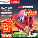 正泰（CHNT）阻燃电线BV2.5/4/6平方单股铜芯电线 电缆线国标电源线家用铜芯线 红色火线BV10  100米