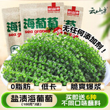 云山半盐渍海葡萄100g*3即食儿童凉拌菜鱼子酱火锅商家用赠6种蘸料海藻