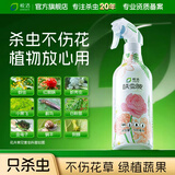 皎洁花卉杀虫剂植物土壤绿蔬菜蚜虫小黑飞月季花草红蜘蛛蚧壳虫500ml