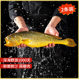 黄小渔【冰鲜野化】宁德深海大黄鱼 1.8斤/2条 黄花鱼 鱼类源头直发