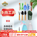 德沃多多肉工具套装家用植物种植新手养护组合沙滩玩具挖沙赶海工具套装