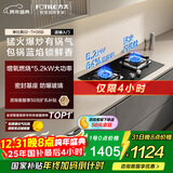 方太燃气灶天然气家用嵌入式双灶台 可调节换装灶具 5.2kW*猛火燃气灶 02-TH36B 政府补贴20%