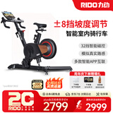 力动（RIDO）动感单车 智能坡度家用单车健身器室内自行车健身车支持zwift顽鹿 CX30（电动正负坡度）