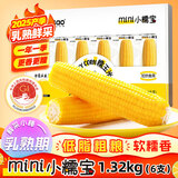 东北农嫂糯玉米段多色可选软糯香吉林原产粘玉米真空低脂饱腹粗粮代餐 【mini小糯宝】黄糯玉米棒1.32kg 6根装