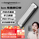 BoogieMAN【园园同款】口琴PADDY十孔布鲁斯口琴蓝调10孔成人儿童初学者C调