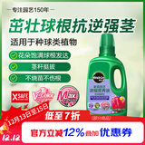 美乐棵种球营养液郁金香风信子马蹄莲植物花肥肥料浓缩植物营养液500ML