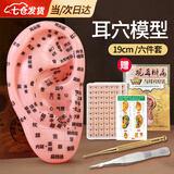 凌云鹤耳穴模型耳朵穴位模型压豆耳针耳穴贴王不留行籽耳豆贴按摩按压 19cm按摩耳+耳书+耳贴+铜笔+镊子+说明书