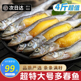 鲜随渔动 满籽多春鱼 1000g 50-60条 多籽鱼鱼子海鲜鱼类生鲜烧烤 4斤装超特大号【15-17厘米】