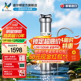 道尔顿（Doulton）净水器家用直饮英国原装进口  道尔顿明星爆款DIS厨下矿物质净水机自来水过滤0废水不用电 DIS套机(自带/加配各1芯共2支)