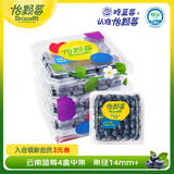 怡颗莓Driscoll's当季新鲜云南蓝莓14mm+ 4盒装 约125g/盒 京东超市水果