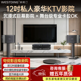 威斯汀家庭ktv音响套装唱歌全套设备卡拉OK点歌机一体机家庭影院天籁专业12吋四分频全球十大音响品牌 天籁四分频+MA-300+F4