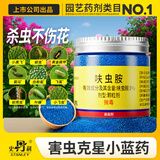 史丹利（STANLEY）小蓝药杀虫剂呋虫胺70g 蚜虫专杀花盆小黑飞土壤月季花植物花药