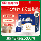 光明【新鲜日期】优加纯牛奶200ml*12盒钻石装3.6g原生乳蛋白礼盒装