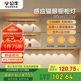 公牛（BULL）感应猫眼橱柜灯磁吸充电山丘光效展柜玄关氛围小夜灯 黑80cm三色