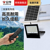 公牛（BULL）太阳能户外照明灯新款大功率庭院灯农村用天黑自动亮防水led路灯 聚光款/200W型/白光/照明180m²