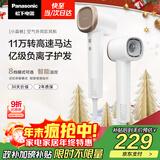 松下（Panasonic）【国家补贴】家用高速电吹风吹风机大功率速干负离子温控护发送女友圣诞礼物小森林陶瓷白EH-NE6L