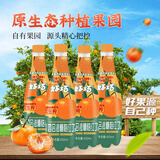 好巧沙糖桔生榨果汁汽水碳酸饮料橘子风味夏季消暑四会特产450ml*15