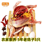 林岚（LINLAN） 5年老鸽子【3只装 】杀前约1800g 新鲜鸽子肉农家鸽子新鲜宰杀 5年老鸽3只单只净重7到8两