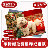 世纪开元 洗照片高清冲印相片打印晒手机照冲洗服务定制塑封宝宝全家福图片毕业合照乐凯相纸6英寸20张R