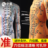 中量针灸人体模型十二经络穴位图真人版中医铜人可扎针小皮人全身经脉 【入门款】铜男软模 40cm