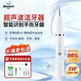 米波迪（Meebordi）超声波洁牙器医用机洗牙结石清除牙垢冲洗神器去黄牙清洁烟渍茶渍冲牙器美容仪器礼物
