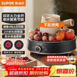 苏泊尔（SUPOR）迷你电陶炉 煮茶器煮茶炉煮茶壶 养生围炉煮茶泡茶办公家用不挑器具SW-DTL05
