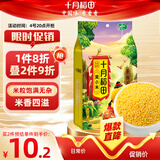 十月稻田 黄小米 1kg 五谷杂粮 粥米 粗粮 早餐小米粥 小米杂粮米 2斤