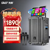 先科（SAST）家庭ktv音响套装广场舞音响带显示屏家用点歌机功放一体机户外卡拉ok唱歌全套设备舞蹈播放器话筒 【39D旗舰款】10吋低音+19吋屏+500G