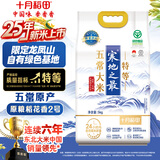 十月稻田 25年新米 龙凤山产区 绿色特等五常大米 10斤 原粮稻花香2号
