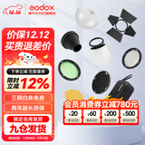 神牛（Godox） 圆灯头AK-R1附件外拍灯圆形机顶灯灯头光效附件挡板色片蜂巢束光筒 AK-R1光效附件