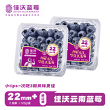 佳沃（JOYVIO）云南蓝莓 巨大果22mm+ 2盒装 约125g/盒 新鲜水果