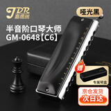 嘉德瑞JDR进口音簧半音阶口琴12孔C调GM-0648初学练习专业演奏款 C6调