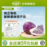 沈佳农有机紫甘蓝500g紫包菜辅食轻食沙拉榨汁生吃新鲜蔬菜产地顺丰直发 紫甘蓝 500g