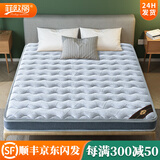 菲欧丽 椰棕床垫棕垫 棕榈硬床垫薄天然乳胶榻榻米床垫定制 A款10CM（竹炭面料+7CM椰棕） 1.8米*2米