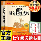 钢铁是怎样炼成的 完整版原著无删减赠阅读核心考点手册 奥斯特洛夫斯基著七年级下册必读名著八年级下册必读名著初中人教版教材配套阅读中小学生课外读物寒假阅读中考必读初一初二