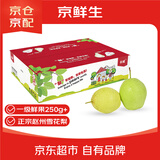 京鲜生 河北雪花梨 净重4.5斤 单果250g+ 生鲜水果礼盒