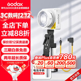 神牛（Godox）ML100Bi摄影灯双色温可调便携夜拍灯人像补光灯户外控制室电影视频摄像灯 【ML100Bi Kit2 套装】