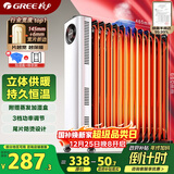 格力（GREE）【年度金榜单品】取暖器电热油汀加热电暖器立式电暖气加热器家用大面积加湿宽片 NDY23-X6022