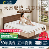 时宝丽弹簧床垫1.8米x2米席梦思床垫1.5米x2米家用榻榻米床垫子软硬适中 【驼蕴2.0-驼毛绒】偏硬护脊=24cm厚【整张发货】 1.5*2.0米（无异味-超舒适）